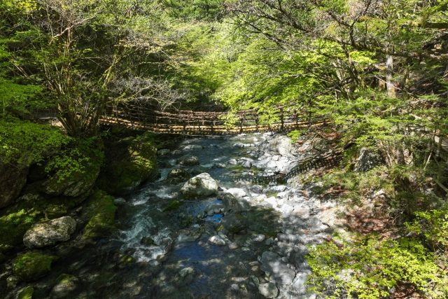 阿波中央バス株式会社-徳島県阿波市、グルメにお遍路、看護師添乗のツアーなど、多彩な観光ツアー-