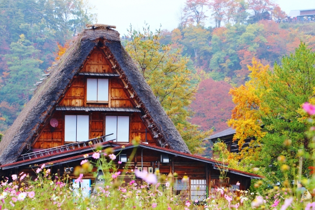 阿波中央バス株式会社-徳島県阿波市、グルメにお遍路、看護師添乗のツアーなど、多彩な観光ツアー-